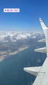 amit.yaron Altpins Profile Picture