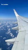amit.yaron Altpins Profile Picture