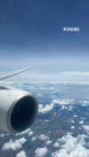 amit.yaron Altpins Profile Picture