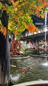 amit.yaron Altpins Profile Picture