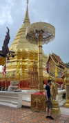 amit.yaron Altpins Profile Picture