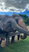 amit.yaron Altpins Profile Picture