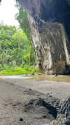 amit.yaron Altpins Profile Picture