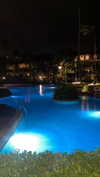 amit.yaron Altpins Profile Picture