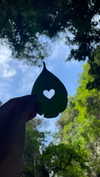 amit.yaron Altpins Profile Picture