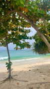 amit.yaron Altpins Profile Picture