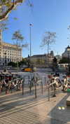 amit.yaron Altpins Profile Picture