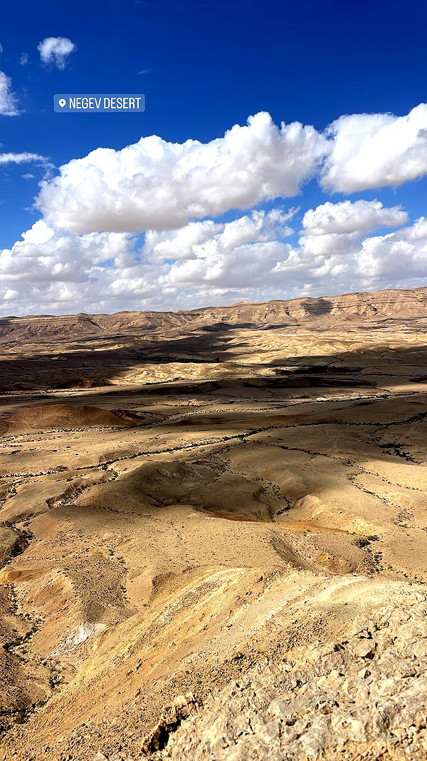 amit.yaron amit.yaron archive image