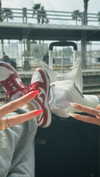 amit.yaron Altpins Profile Picture