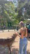 amit.yaron Altpins Profile Picture