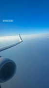 amit.yaron Altpins Profile Picture