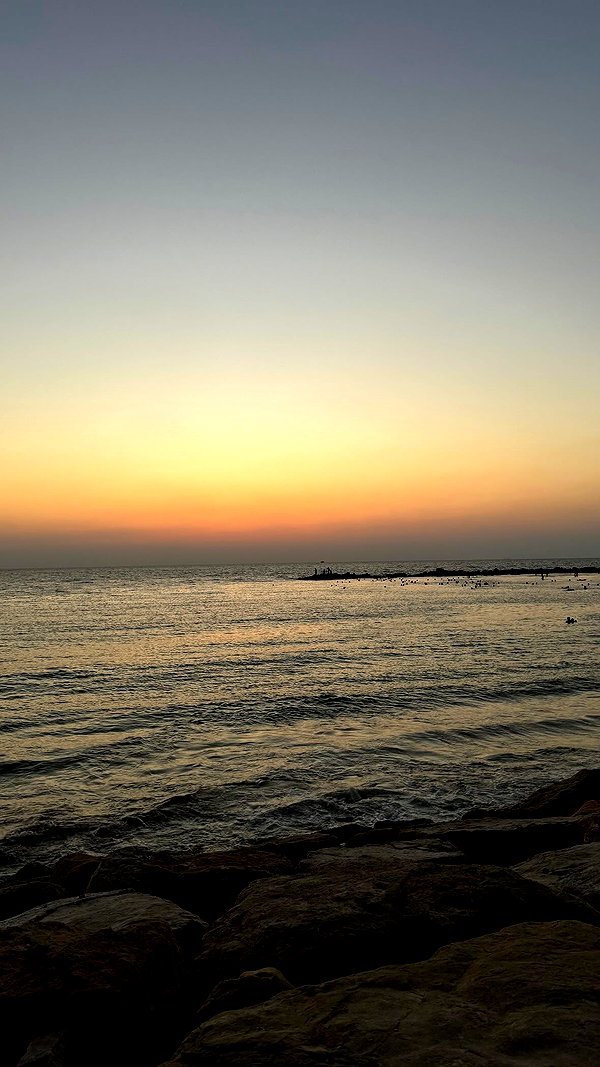 amit.yaron amit.yaron archive image
