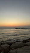 amit.yaron Altpins Profile Picture