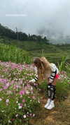 amit.yaron Altpins Profile Picture