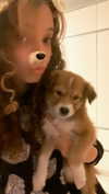 amyeett Altpins Profile Picture