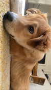 amyeett Altpins Profile Picture
