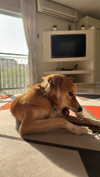 amyeett Altpins Profile Picture