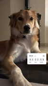 amyeett Altpins Profile Picture