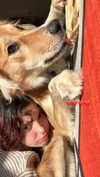 amyeett Altpins Profile Picture