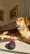 amyeett Altpins Profile Picture
