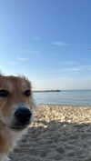 amyeett Altpins Profile Picture