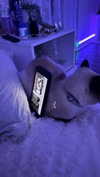 anabewwe Altpins Profile Picture