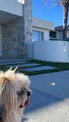 anastasiadimovska1 Altpins Profile Picture
