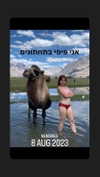 anatpetra Altpins Profile Picture