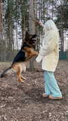 angelixstazzy Altpins Profile Picture