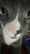 angxl.sky Altpins Profile Picture