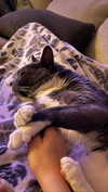 angxl.sky Altpins Profile Picture