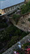 angxl.sky Altpins Profile Picture