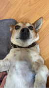 anika.wicks Altpins Profile Picture