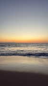 anika.wicks Altpins Profile Picture