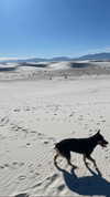 anika_braun__ Altpins Profile Picture