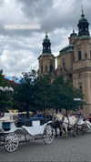 anika_braun__ Altpins Profile Picture