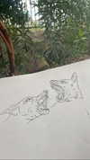 anika_braun__ Altpins Profile Picture