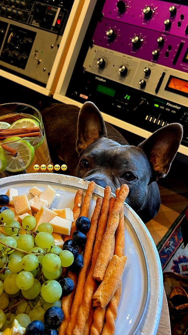annazak12 instagram image archive image