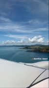 anneliese.mitchell1 Altpins Profile Picture