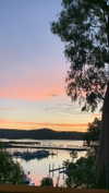 anneliese.mitchell1 Altpins Profile Picture