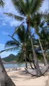 anneliese.mitchell1 Altpins Profile Picture