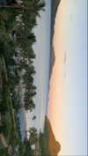 anneliese.mitchell1 Altpins Profile Picture