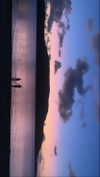 anneliese.mitchell1 Altpins Profile Picture