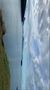 anneliese.mitchell1 Altpins Profile Picture