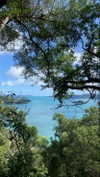 anneliese.mitchell1 Altpins Profile Picture