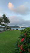 anneliese.mitchell1 Altpins Profile Picture