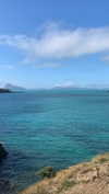 anneliese.mitchell1 Altpins Profile Picture