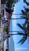 anneliese.mitchell1 Altpins Profile Picture