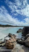 anneliese.mitchell1 Altpins Profile Picture