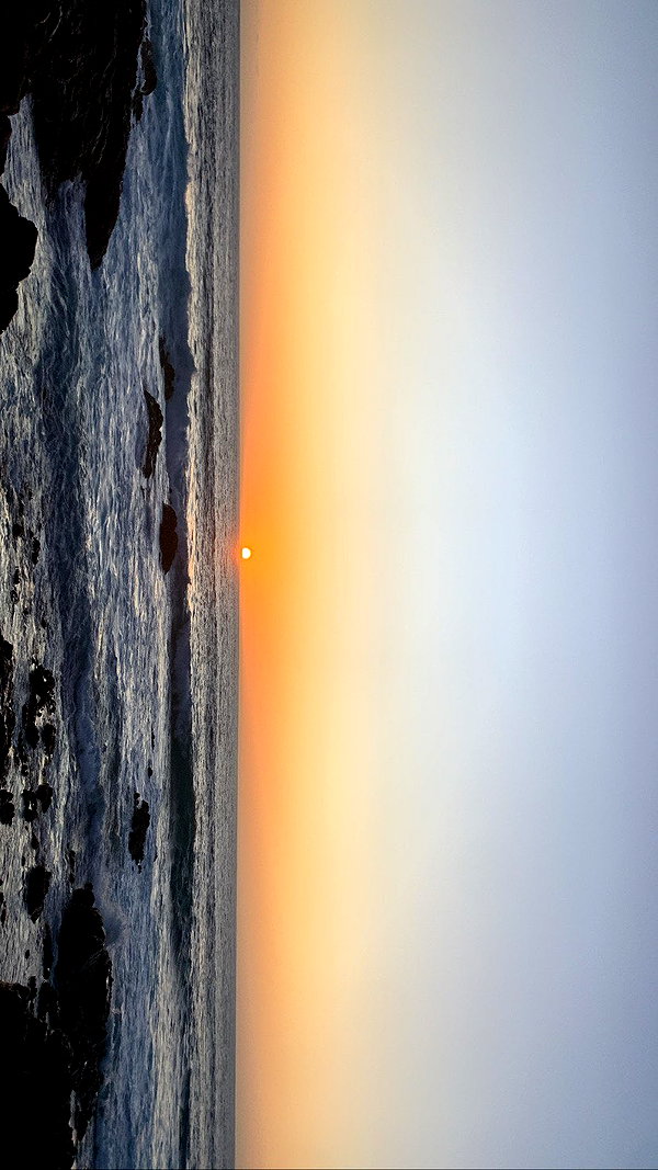 anneliese.mitchell1 anneliese.mitchell1 archive image